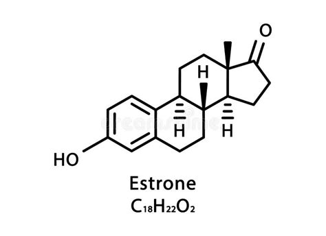 Estrogen Estrone Stock Illustrations 58 Estrogen Estrone Stock