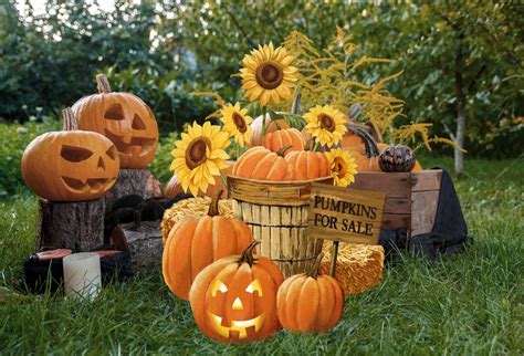 Sunflower Pumpkins Basket Halloween Decoration Metal Sign Garden Art