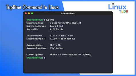 Check Historical And Statistical Uptime Of Linux