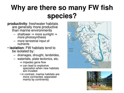 PPT - Freshwater Fishes PowerPoint Presentation, free download - ID:3201054