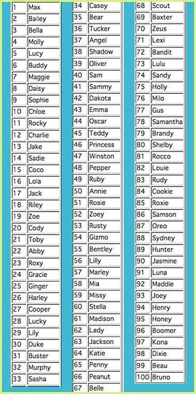 Spooky spectacular names for all seasons. Top Dog Names- See the recent top dog names list for full ...