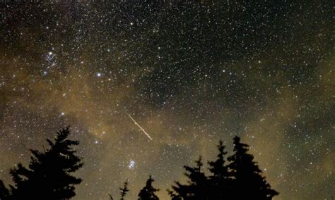 Orionid Meteor Shower To Peak In The Night Sky Late October—heres How