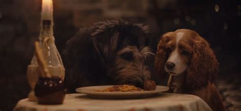 ‘lady And The Tramp New Trailer For Disney Live Action Adaptation Ybmw