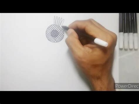 Warna bunga yang dihasilkannya pun sangat unik dan. Cara Menggambar Bunga Matahari | How To Draw Sun Flower ...