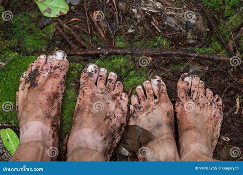 Dirty Feet On Moss In Stock Image Image Of Barefoot 99705255