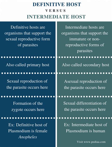 Difference Between Definitive Host And Intermediate Host Definition
