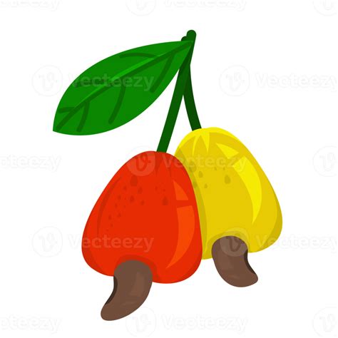 Cashews With Leaves Element Design Png