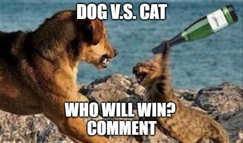 Image Tagged In Cat Vs Dog Imgflip