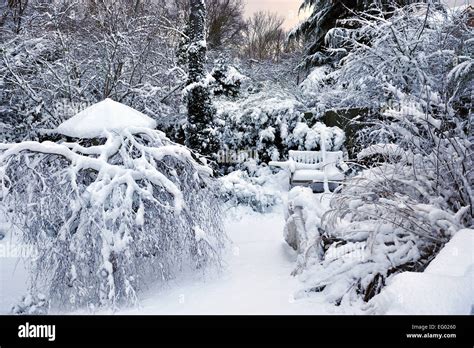 Snow Covered Garden Hi Res Stock Photography And Images Alamy