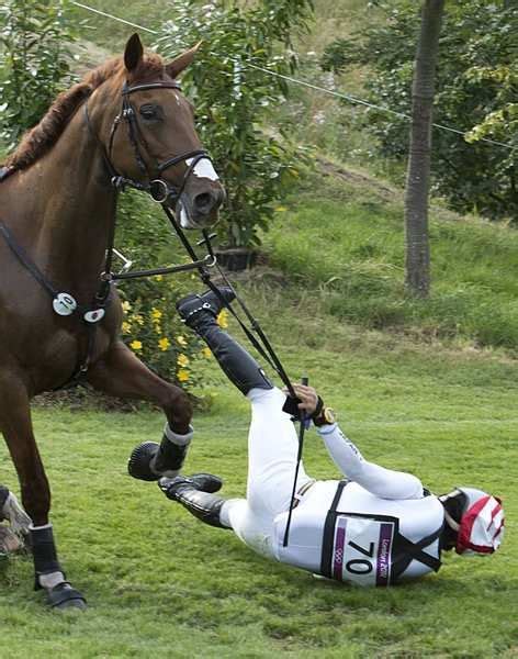 Sep 21, 2016 · breeding and reproduction horse breeding from. Mishaps from the 2012 London Olympics | Funny horses, Funny horse videos, Horses