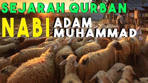 Sejarah Ibadah Qurban Dari Nabi Adam Sampai Rasulullah Muhammad ﷺ Youtube