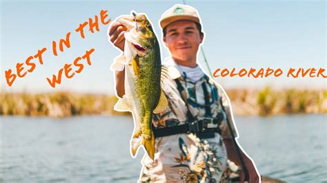 Fishing Some Of The Best Fisheries In Arizona The Yuman Experience
