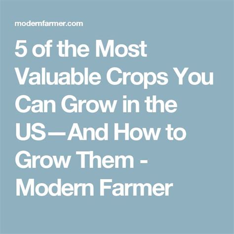 5 Of The Most Valuable Crops You Can Grow In The Us And How To Grow Them