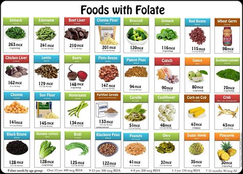 Foods Filled With Important Blood Building Vitamin Folate Be Sure To