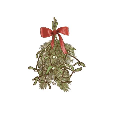 Christmas Hanging Mistletoe Bouquet And Fir With Red Ribbon And Bow