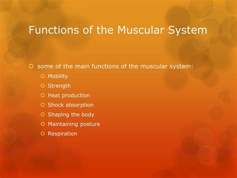 Ppt Muscular System Powerpoint Presentation Free Download Id2043240