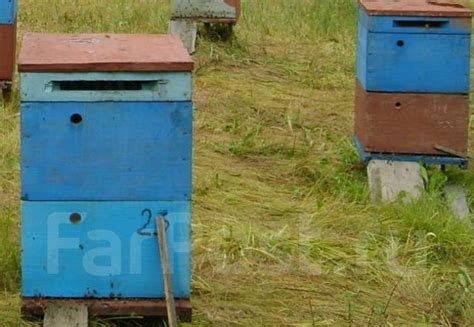 Улья 2х корпусные кочевые, пчел, в наличии. Цена: 5 000₽ во Владивостоке