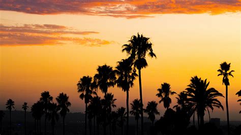 Download Wallpaper 3840x2160 Palm Trees Sunset Clouds