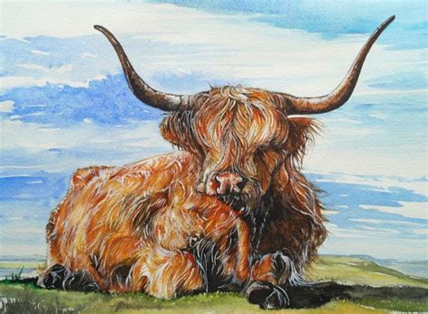 Highland Cow Highland Cattle Cattle Hairy Beast Cow Print Cow Art