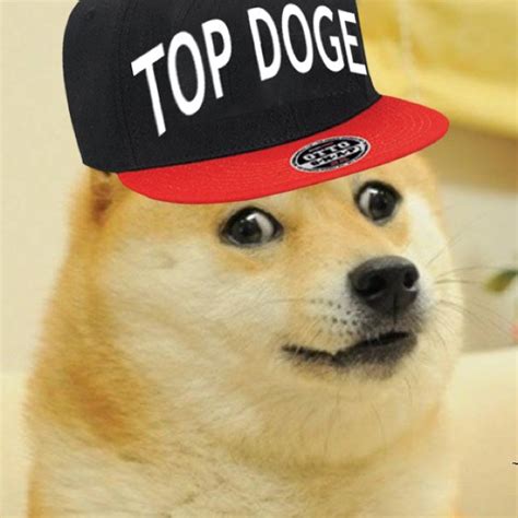 It has a circulating supply of 130 billion doge coins and dogecoin is a cryptocurrency based on the popular doge internet meme and features a shiba inu. doge (@DogeTop) | Twitter