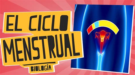 El Ciclo Menstrual Biolog A Educatina Youtube