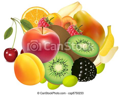Variety of exotic fruits. Variety of exotic fruits - realistic look illustration. | CanStock