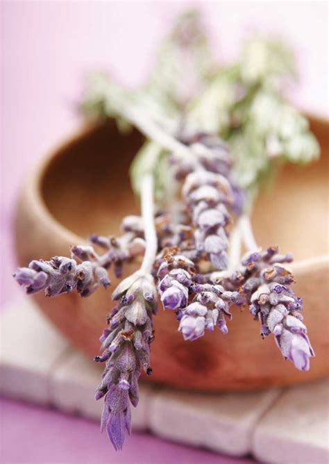 Make Lavender Spa Products
