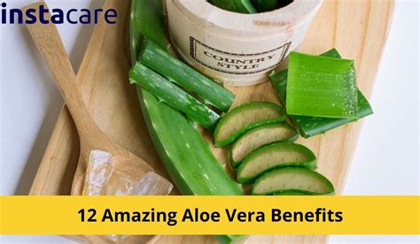 12 Amazing Aloe Vera Benefits You Must Know About