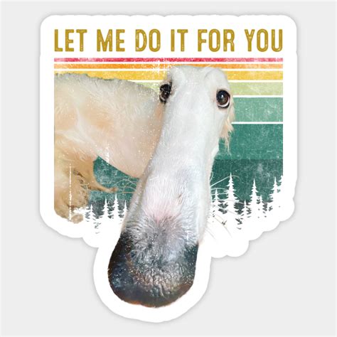 Funny Memes Borzoi Dog Let Me Do It For You Let Me Do It For You