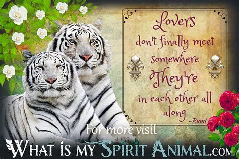 We did not find results for: Tiger Quotes & Sayings | Animal Quotes & Sayings