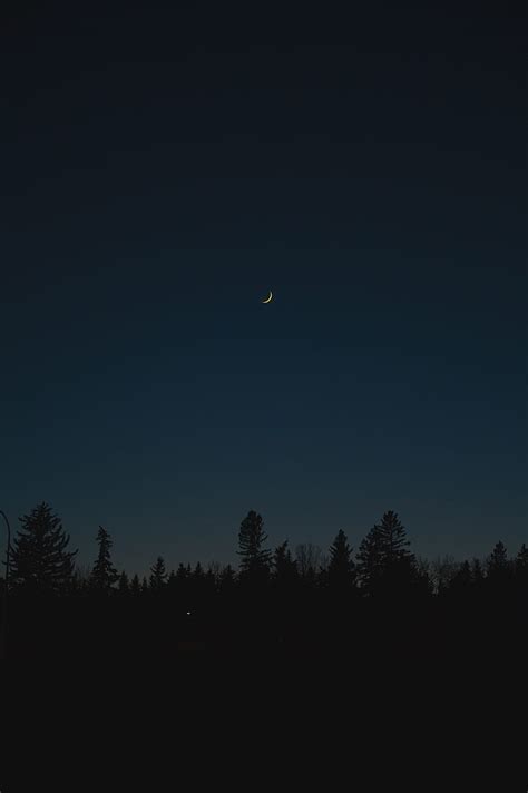 Trees Silhouettes Moon Night Dark Hd Phone Wallpaper Peakpx