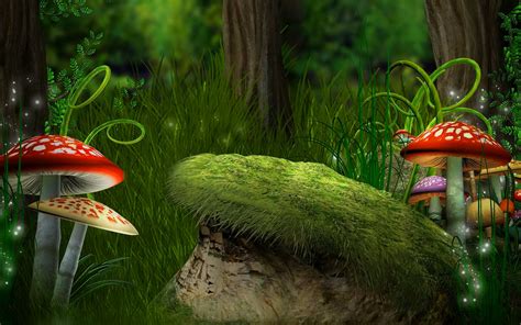 Mushrooms In Fantasy Forest Full Hd Wallpaper And Background Image