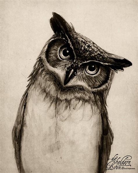 Owls Drawing Painting And Drawing Drawing Ideas Ink Drawing Owl