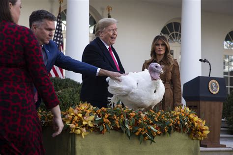 trump tells impeachment jokes before pardoning turkey wtop news