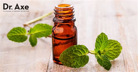 Peppermint Oil Uses Benefits Side Effects And More Dr Axe
