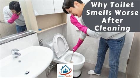 Why Toilet Smells Worse After Cleaning 7 Reasons With Solutions