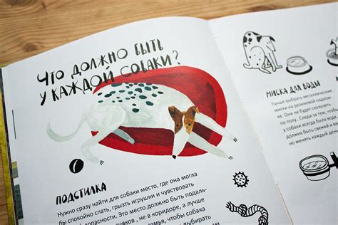 Illustrated Childrens Book On Behance