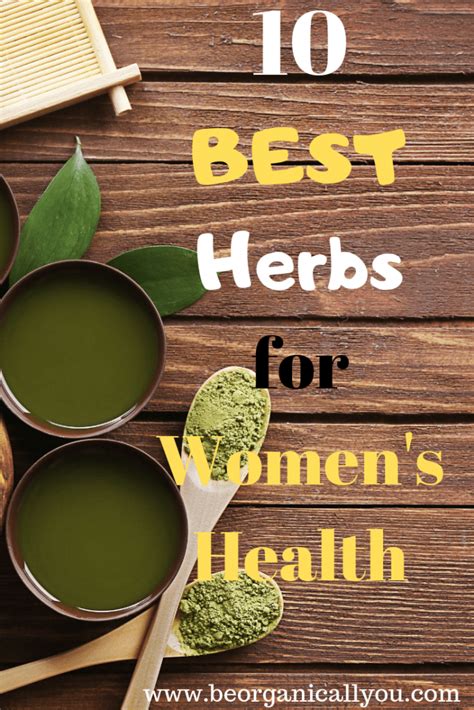 The Worlds 10 Best Super Herbs For Womens Health Be Organically You