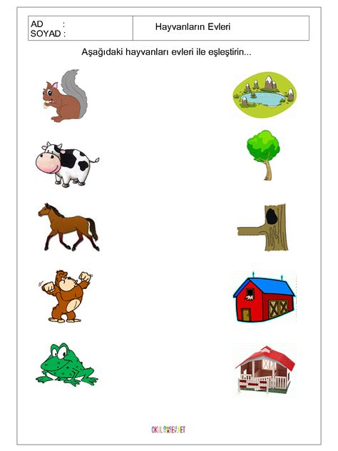 Wild animals make their arrangements for home, whereas for domestic animals we make the arrangements. free printable matching animals to their home worksheet (2 ...