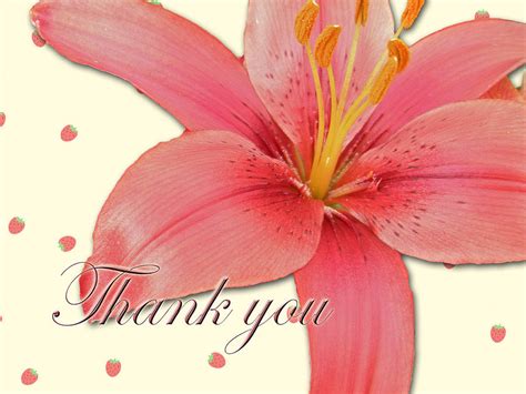 Thank You Card Pink Lily Photograph By Carol Senske Fine Art America
