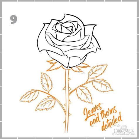 As you can see this figure is expanding up. How to draw a rose step-by-step guide for beginners ...
