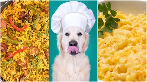 Como Hacer Comida Para Perros ¡recetas Para Hacer Feliz A Tu Mascota