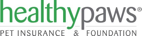 Healthy Paws Review - Is It The Best Pet Insurance Company?