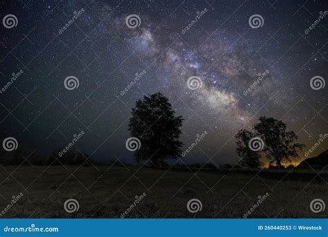 Mesmerizing Starry Night Sky Over The Valley With Trees Stock Image
