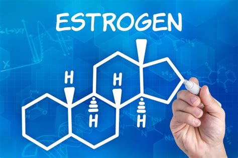Mulheres 4 formas de aumentar o estrogênio no seu corpo