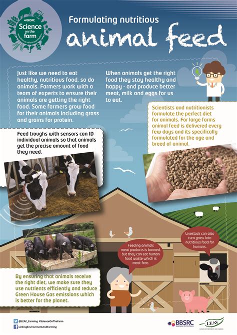 BBSRC Science on the Farm poster - ANIMAL FEED | Teaching Resources