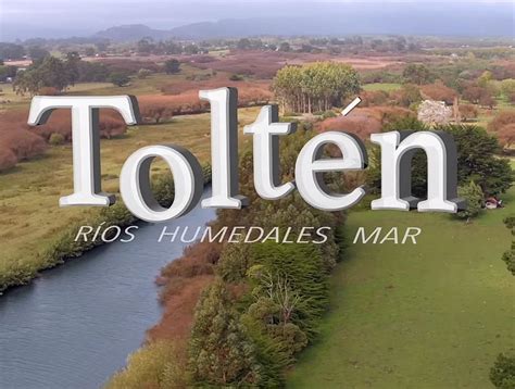 Tolten wolf international, nueva toltén, chile. Municipalidad de Toltén lanzó video promocional turístico ...
