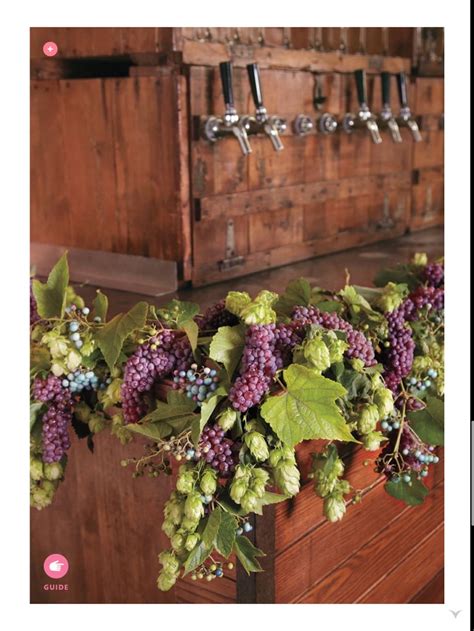 85 Best Images About Grape Decor On Pinterest Vineyard