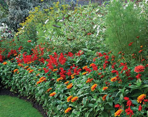 Adding Annuals To Your Garden Six Inventive Ideas Finegardening