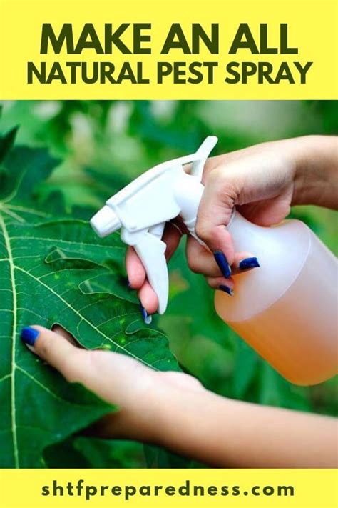 Make An All Natural Pest Spray Shtfpreparedness Pest Spray Organic
